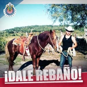 Meet your Posher, Miguel angel